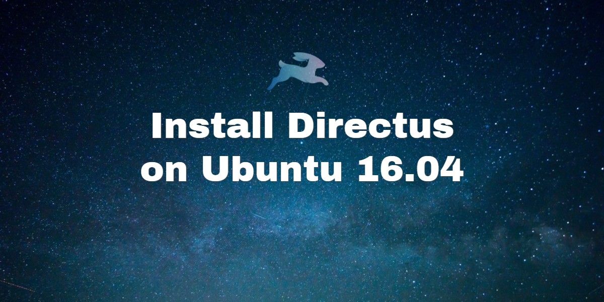 install directus on ubuntu