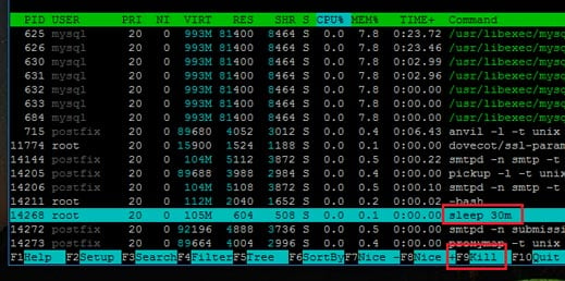 Killing Sleep Process in htop