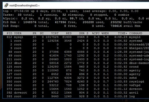 Output of Top